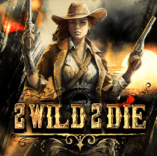 Lošimų automatas 9